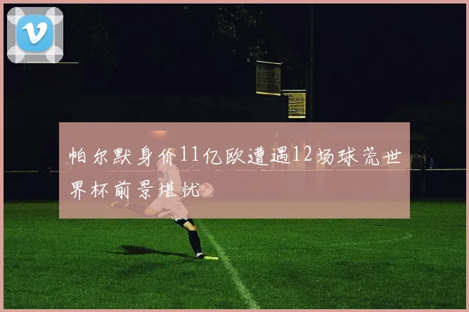 帕尔默身价11亿欧遭遇12场球荒世界杯前景堪忧